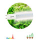 Фитолампа для растений светодиодная Эра G13 18W 1200K FITO-18W-Ra90-Т8-G13-NL Б0042987