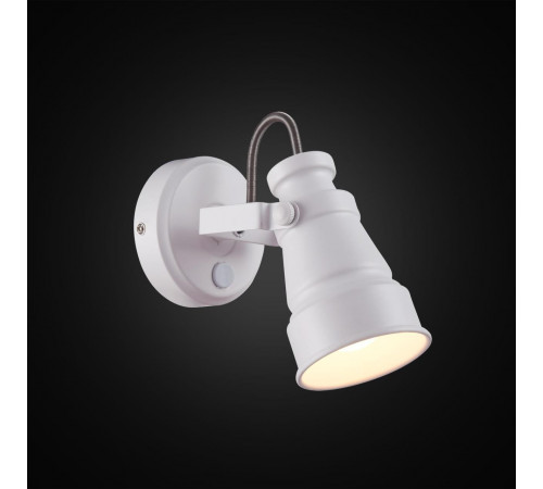 Спот Citilux Бейкер CL541510