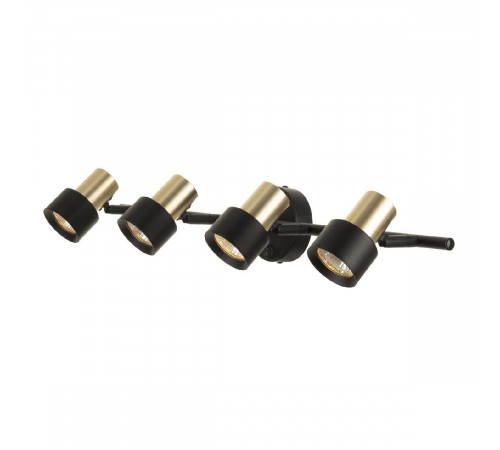 Спот Citilux Sat CL505641