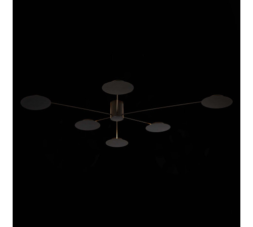 Потолочная люстра ST Luce Tondo SL6006.402.06