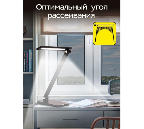 Настольная лампа Citilux Ньютон CL803081