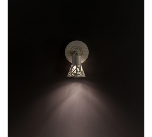 Спот Citilux Винон CL519515