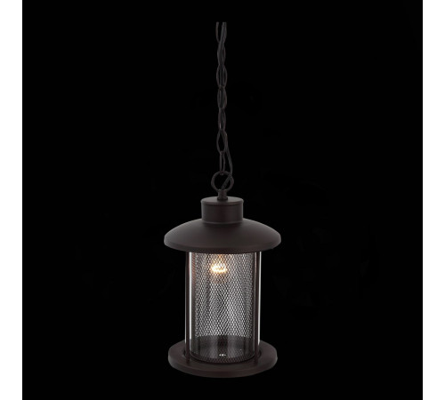 Уличный подвесной светильник ST Luce Lastero SL080.403.01