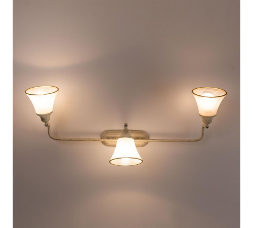 Спот Citilux Прованс CL511534