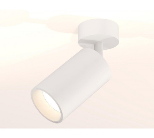 Накладной поворотный светильник Ambrella Light Techno XM6322001 (A2202, C6322, N6110)