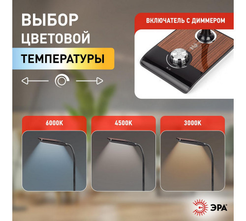 Настольная лампа ЭРА NLED-473-10W-BK Б0033305