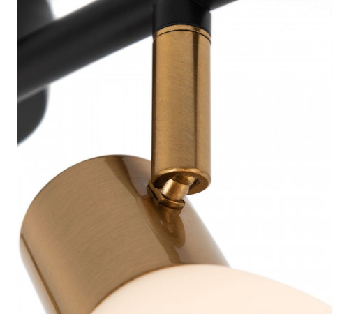 Спот Arte Lamp Falena A3117PL-4BK