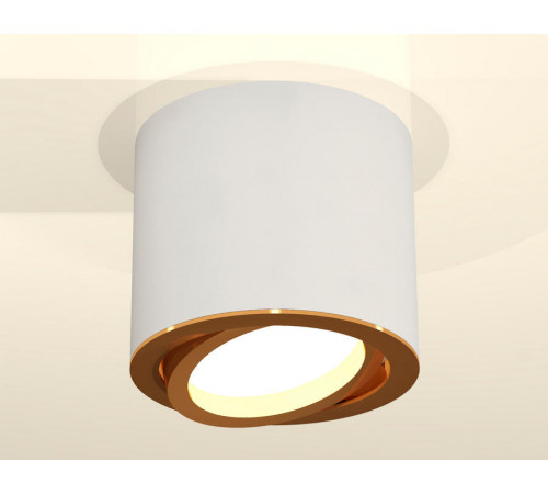 Накладной поворотный светильник Ambrella Light Techno XS7401004 (C7401, N7004)