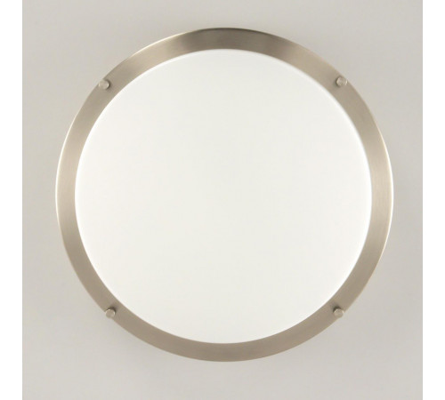 Настенно-потолочный светильник Citilux Бостон CL709321N