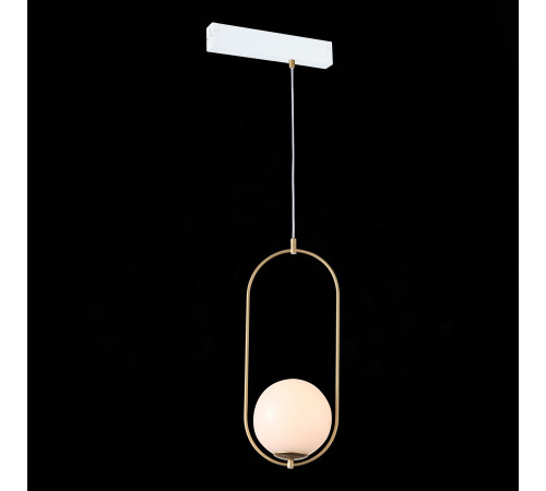 Трековый светильник ST Luce Skyline 220 ST500.203.01