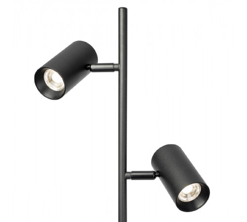 Торшер Citilux Twin CL809011N