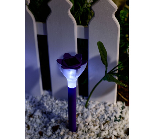 Светильник на солнечных батареях (10623) Uniel Promo USL-C-417/PT305 Purple Crocus
