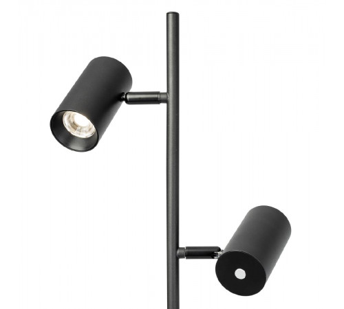 Торшер Citilux Twin CL809011N
