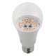 Фитолампа для растений светодиодная ЭРА E27 14W 1310K FITO-14W-RB-E27-K Б0039071