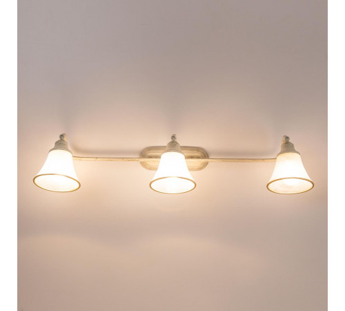 Спот Citilux Прованс CL511534