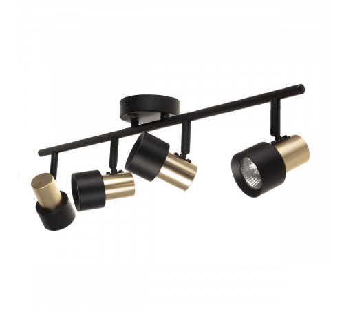 Спот Citilux Sat CL505641