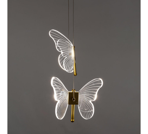 Подвесной светильник Arte Lamp Darcy A2187SP-2GO