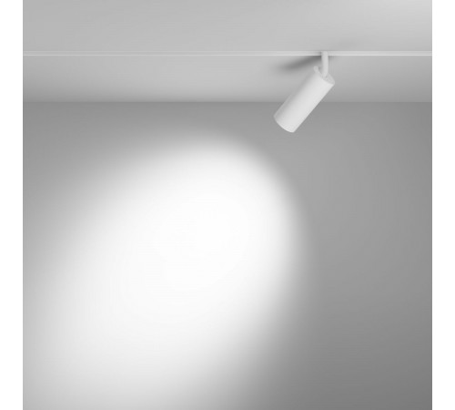Трековый магнитный светильник Maytoni Focus LED TR032-4-12W3K-S-DS-W