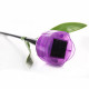 Светильник на солнечных батареях (UL-00004275) Uniel Promo USL-C-651/PT305 Tulip Set 24