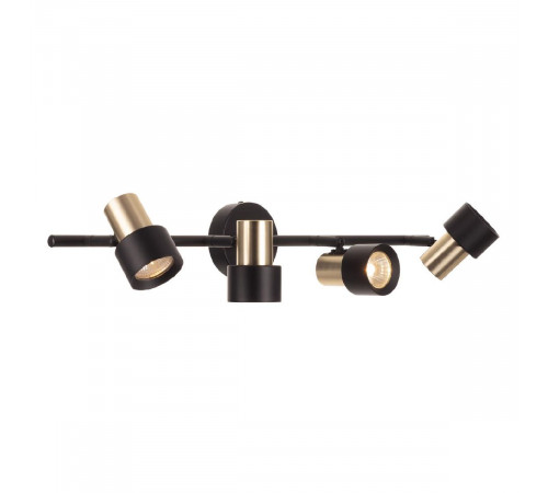 Спот Citilux Sat CL505641