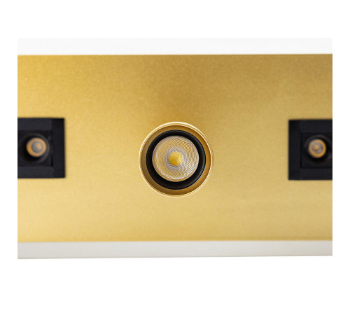 Спот Arte Lamp Pisces A2220PL-3GO