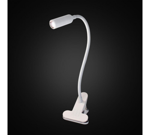 Настольная лампа Citilux Ньютон CL803060N