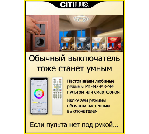 Потолочный светильник Citilux Триест Смарт CL737A54E