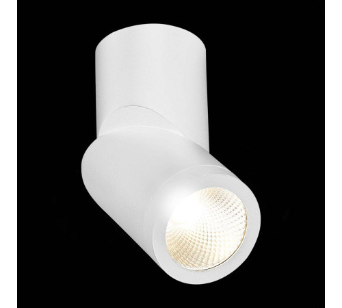 Светодиодный спот ST Luce ST650.532.10