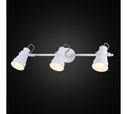 Спот Citilux Бейкер CL541530