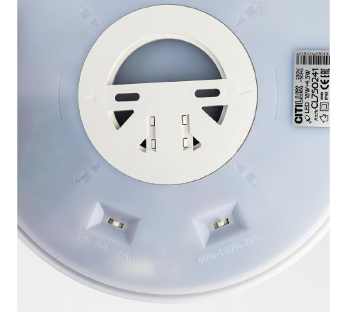 Настенно-потолочный светильник Citilux Etalon CL750241