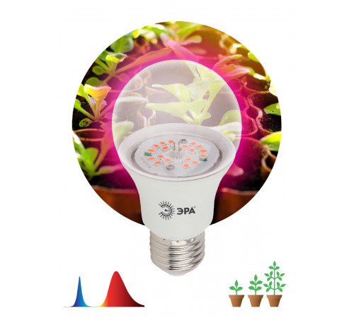 Фитолампа для растений светодиодная ЭРА E27 12W 1310K FITO-12W-RB-E27-K Б0039070