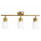 Спот Ambrella Light Traditional TR3972
