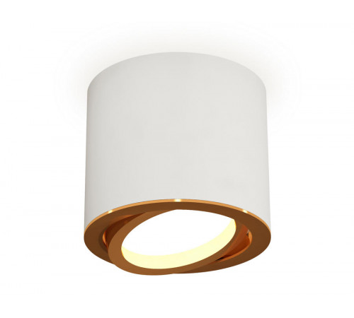 Накладной поворотный светильник Ambrella Light Techno XS7401004 (C7401, N7004)