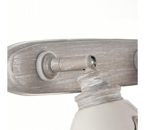 Спот Maytoni Agnes SP289-CW-03-BG