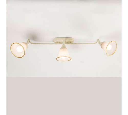 Спот Citilux Прованс CL511534
