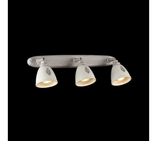 Спот Maytoni Agnes SP289-CW-03-BG
