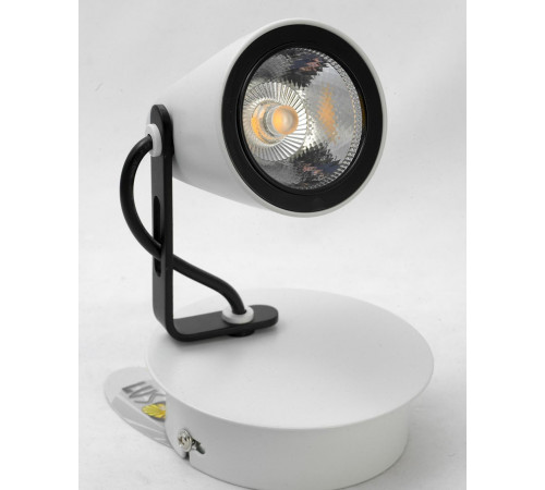 Спот Lussole Loft LSN-4101-01