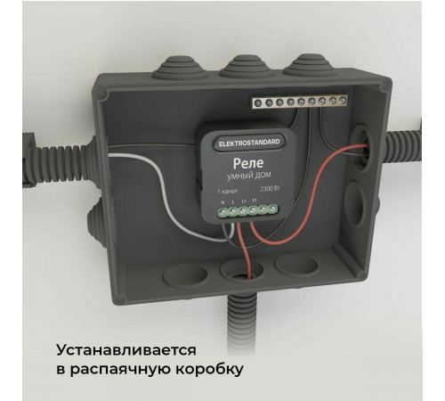 Умное одноканальное реле Elektrostandard 4690389185069 a059324
