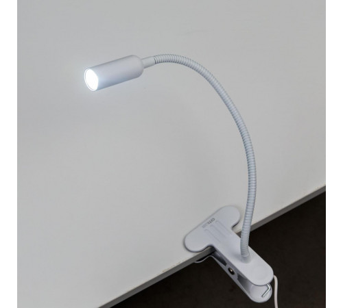 Настольная лампа Citilux Ньютон CL803060N