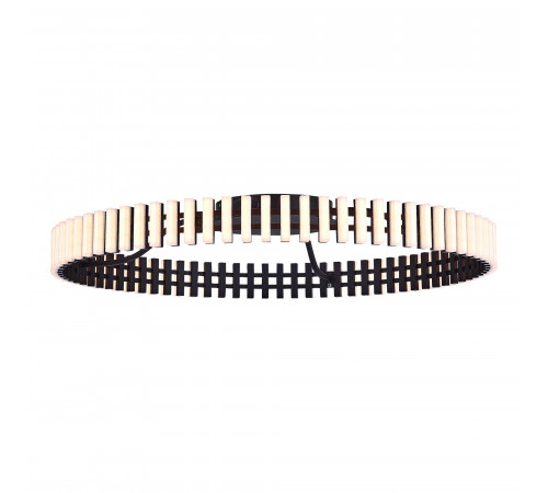 Потолочная люстра ST Luce Estense SL6203.402.50
