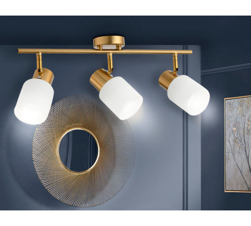 Спот Ambrella Light Traditional TR3972