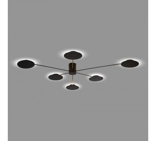 Потолочная люстра ST Luce Tondo SL6006.402.06