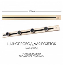 Накладной шинопровод с выключателем Arte Milano Am-track-sockets 385201TOB/100 Gold