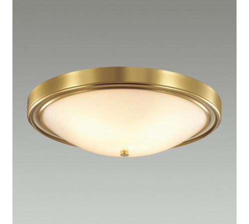 Настенно-потолочный светильник Lumion Vintage 5259/4C