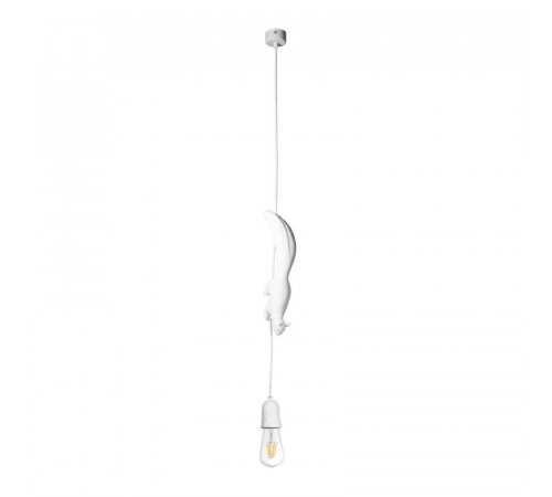 Подвесной светильник Loft IT Sherwood 10092