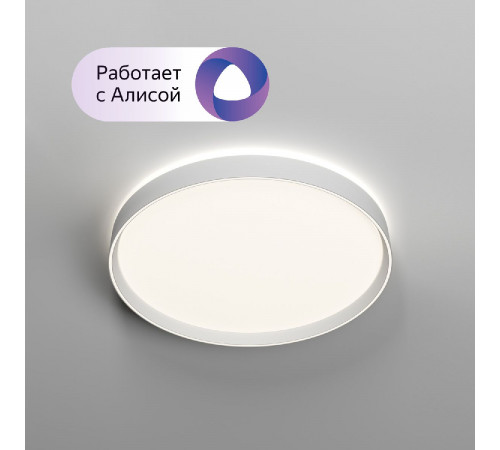Потолочный светильник Denkirs Plato DK6511-WH/1