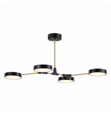 Потолочный светильник Evoluce Monta SLE6004-402-04