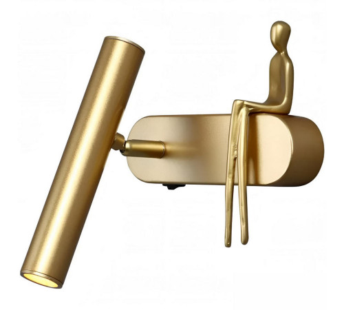 Спот Arte Lamp Albert A2173AP-1PB
