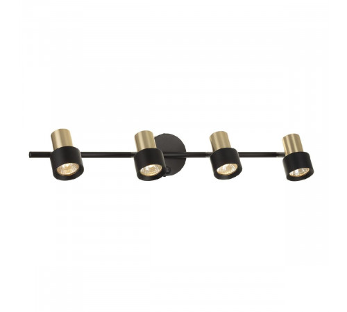 Спот Citilux Sat CL505641