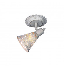 Спот Favourite Arabian Drim 1796-1W